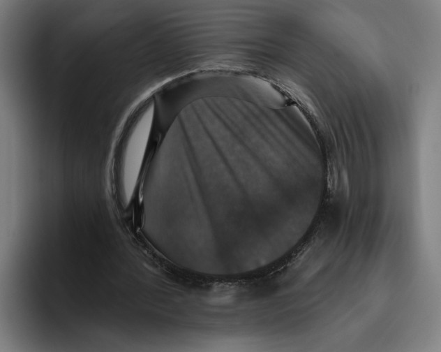 X0000094810388200712071230