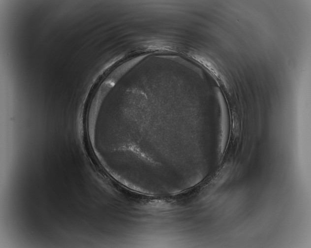 X0000094810390200712071230