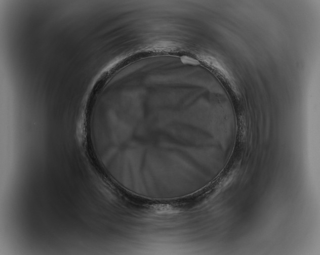 X0000094810392200712071230