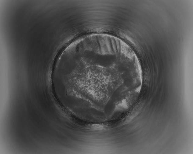 X0000094810394200712071230