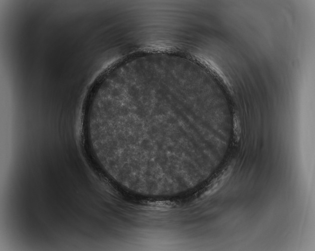 X0000094810396200712071229