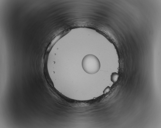 X0000094810397200712071229