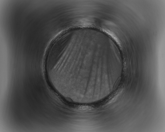 X0000094810399200712071229