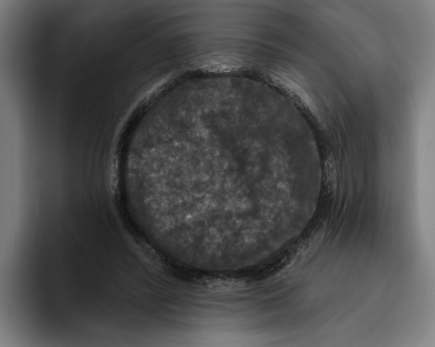 X0000094810400200712071229