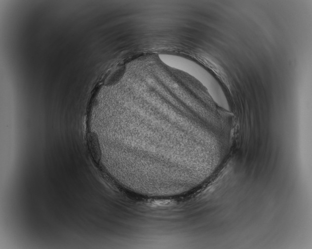 X0000094810401200712071229