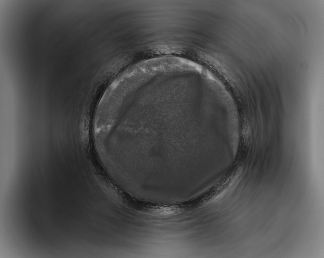 X0000094810402200712071229