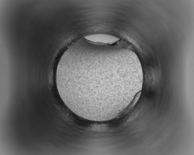 X0000094810403200712071229