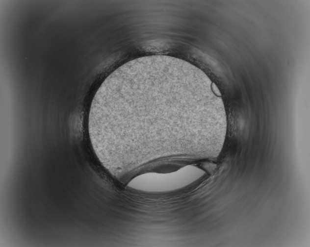 X0000094810404200712071229