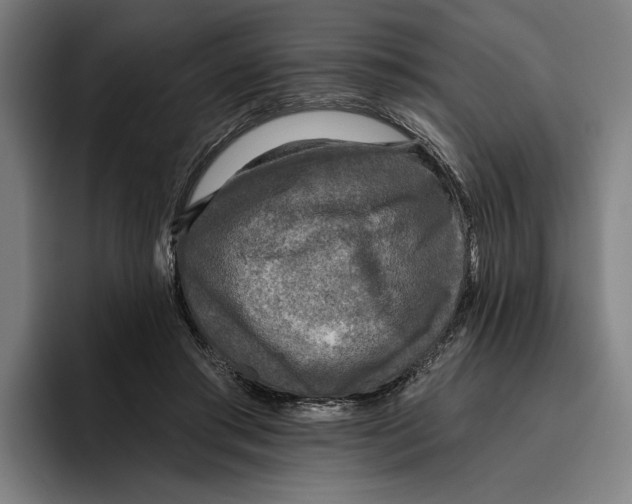 X0000094810405200712071229