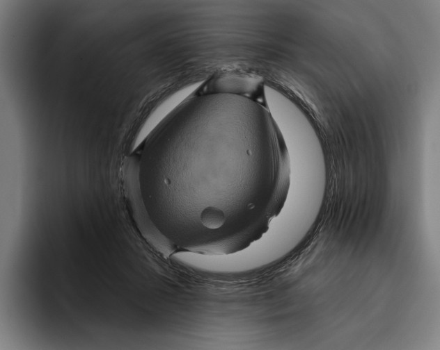 X0000094810407200712071229