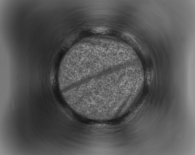 X0000094810408200712071229