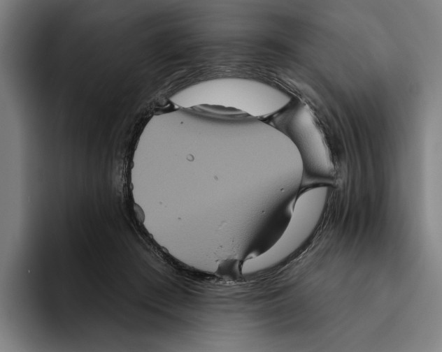 X0000094810409200712071229