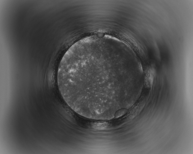 X0000094810410200712071229