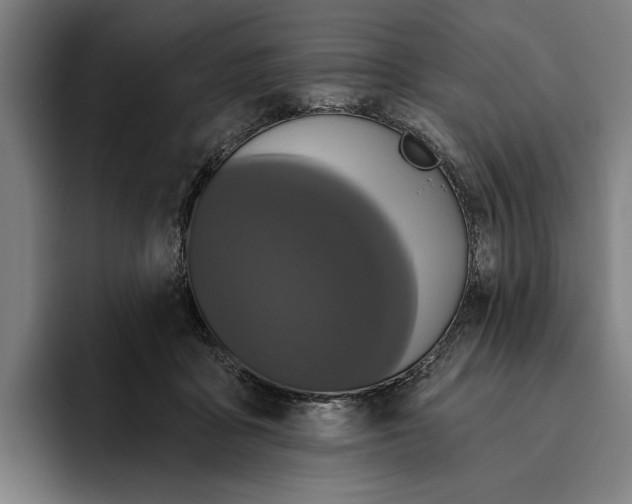 X0000094810411200712071229