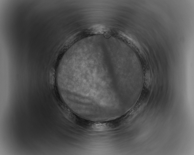 X0000094810413200712071229