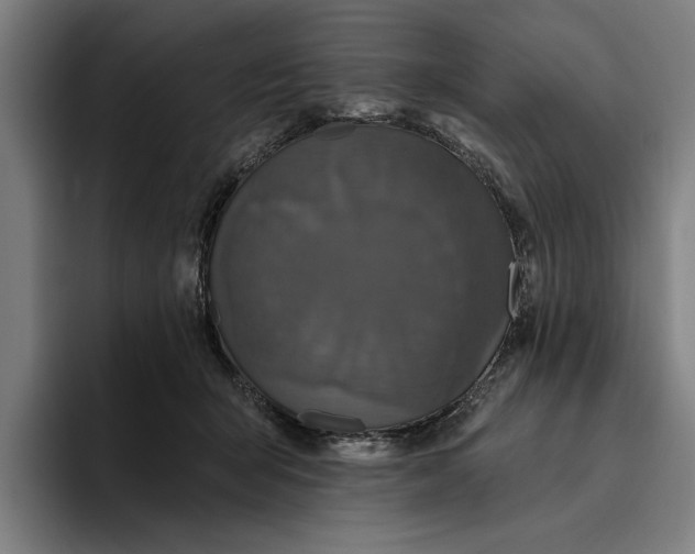 X0000094810415200712071229