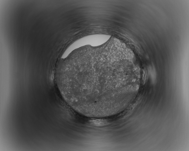 X0000094810417200712071229