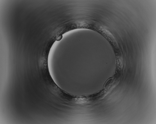 X0000094810419200712071229