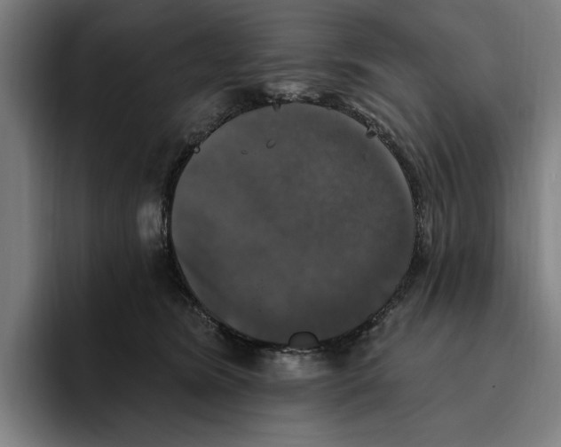 X0000094810420200712071229