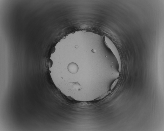 X0000094810421200712071229