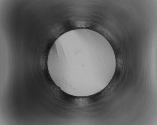 X0000094810422200712071229