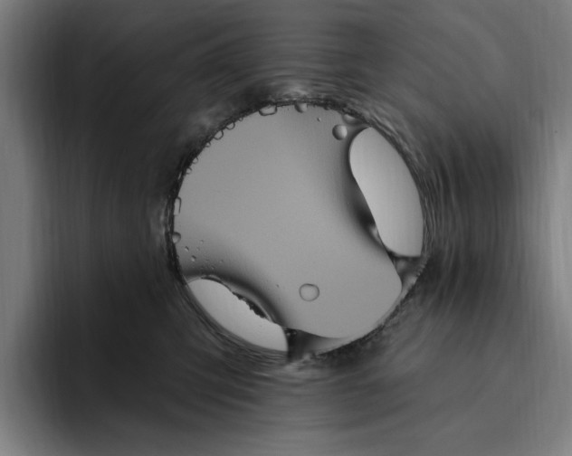 X0000094810423200712071229