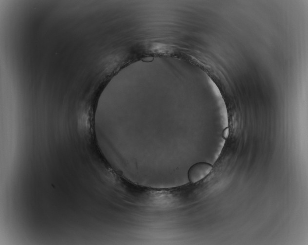 X0000094810424200712071229