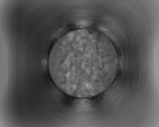 X0000094810427200712071229