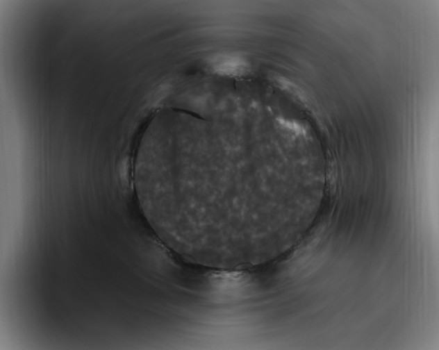 X0000094810428200712071229