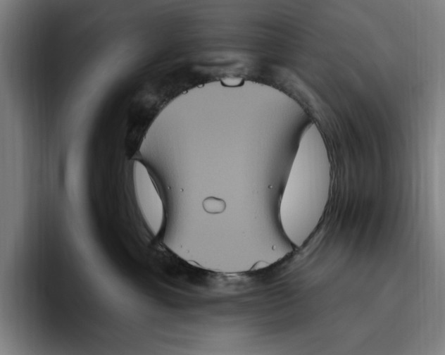 X0000094810429200712071229