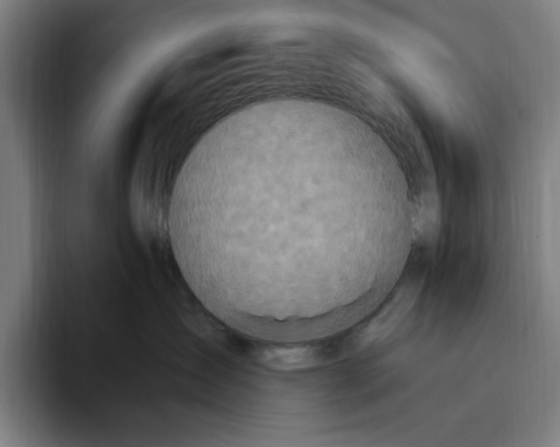 X0000094810431200712071229