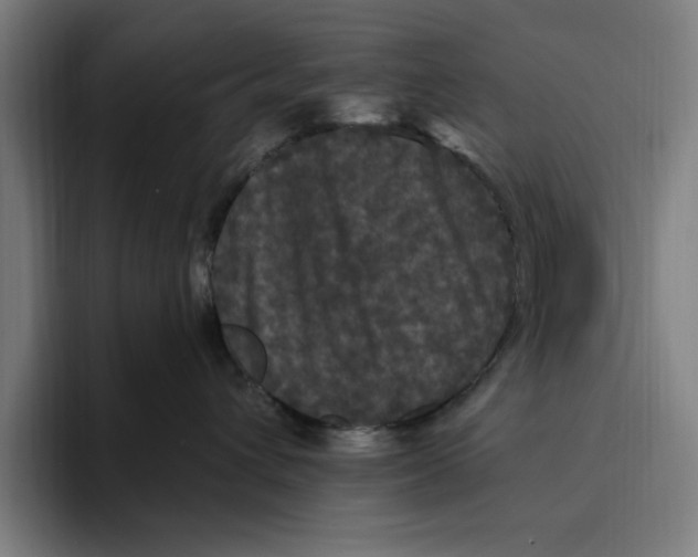 X0000094810432200712071229