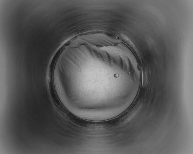 X0000094810435200712071228