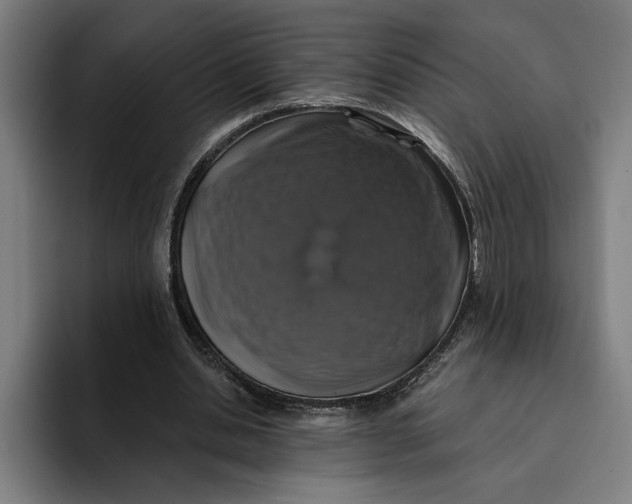 X0000094810438200712071228