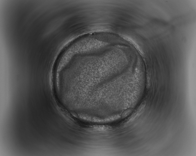 X0000094810439200712071228