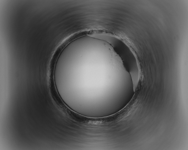 X0000094810440200712071228