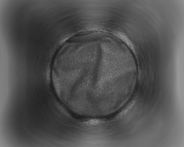 X0000094810441200712071228