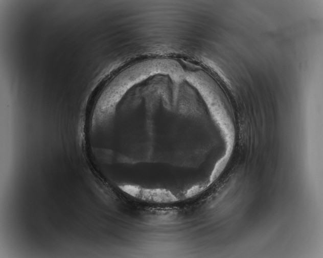 X0000094810443200712071229