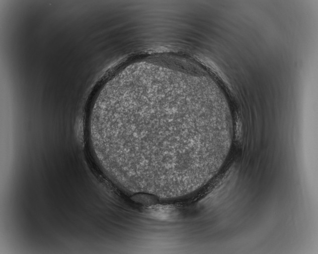 X0000094810444200712071229