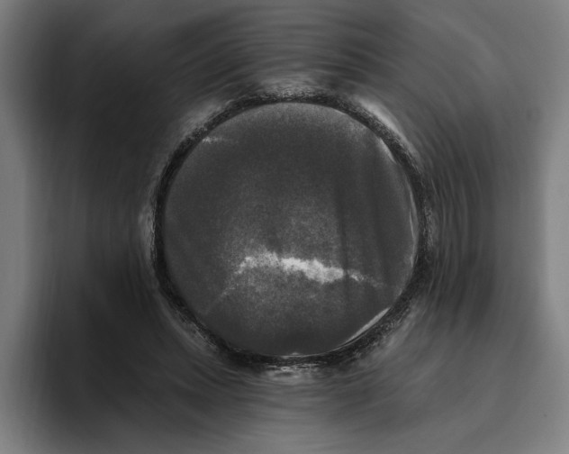 X0000094810447200712071229