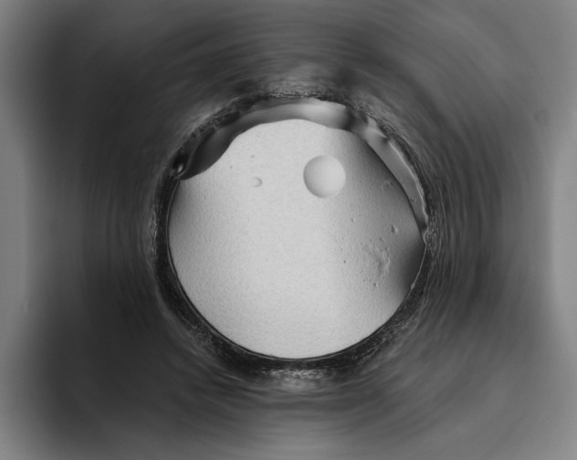 X0000094810448200712071229