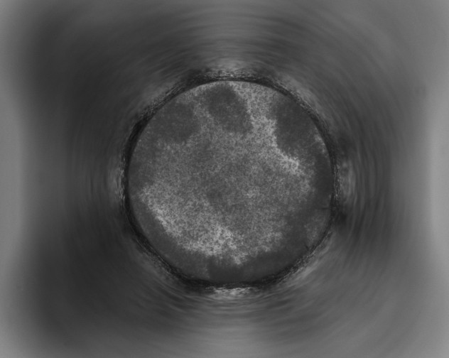 X0000094810450200712071229