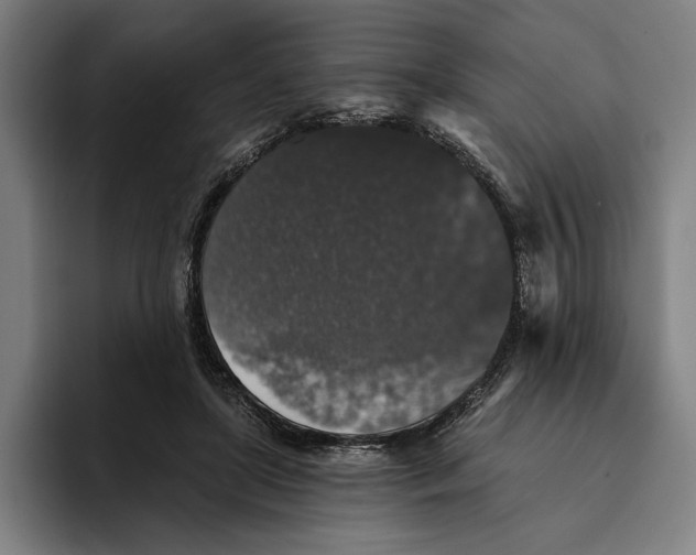 X0000094810451200712071229