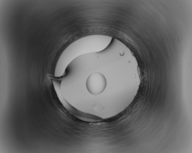 X0000094810452200712071229