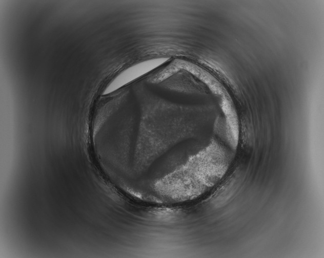 X0000094810453200712071229