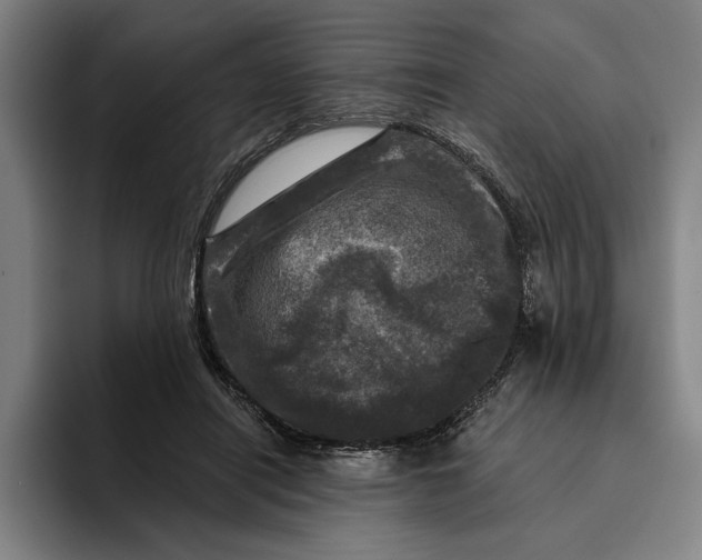 X0000094810454200712071229