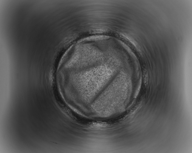 X0000094810455200712071229