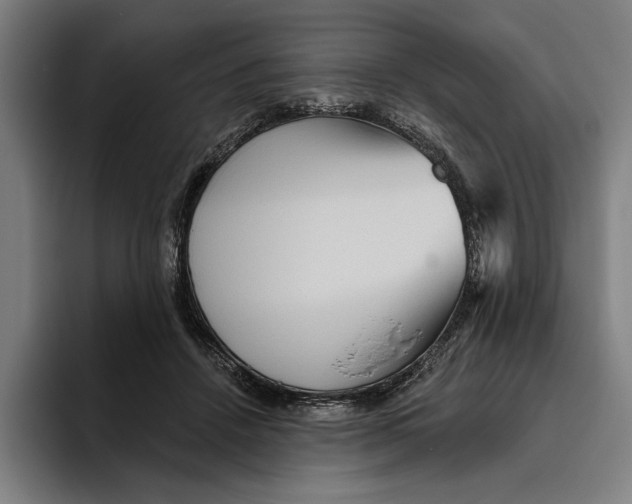 X0000094810456200712071229