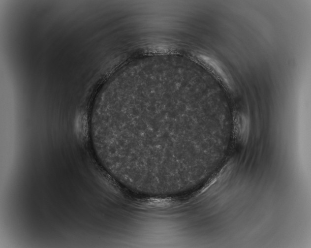 X0000094810457200712071229