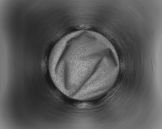 X0000094810460200712071229